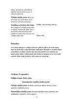 Prakses atskaite 'Pirmsskolas kvalifikācijas prakse un filmētais eksāmens', 13.