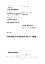 Prakses atskaite 'Pirmsskolas kvalifikācijas prakse un filmētais eksāmens', 17.