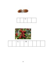 Prakses atskaite 'Pirmsskolas kvalifikācijas prakse un filmētais eksāmens', 34.