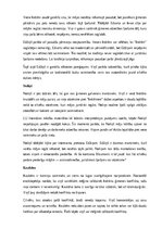 Konspekts 'Rūdolfa Blaumaņa lugas “Indrāni” analīze', 7.