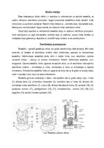 Konspekts 'Teodolīts un leņķu mērīšana', 2.