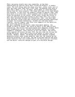 Eseja 'The world of the Vikings', 3.