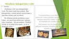 Prezentācija 'Kokmateriāla apstrāde mūsdienās un senatnē', 3.