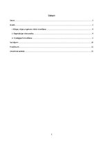 Referāts 'SIA "X" stratēģija Norvēģijā', 1.