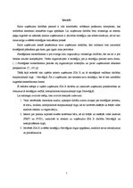 Referāts 'SIA "X" stratēģija Norvēģijā', 2.