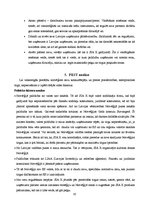 Referāts 'SIA "X" stratēģija Norvēģijā', 10.