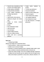 Referāts 'SIA "X" stratēģija Norvēģijā', 13.