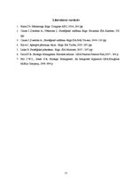 Referāts 'SIA "X" stratēģija Norvēģijā', 22.