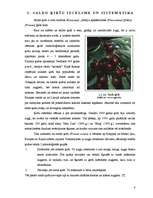 Referāts 'Saldo ķiršu (Prunus avium) selekcija', 6.