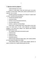 Referāts 'Kāpēc ir tik svarīgi izprast svešu biznesa kultūru?', 4.