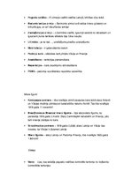 Konspekts 'Vēstures jēdzieni  un personības', 2.