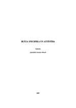 Referāts 'Blūza specifika un attīstība', 1.