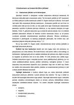 Referāts 'Globālā konkurence un komercdarbības attīstība', 5.