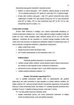 Referāts 'Globālā konkurence un komercdarbības attīstība', 16.