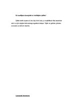 Eseja 'Sociālās spēles: plusi un mīnusi', 4.