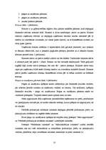 Diplomdarbs 'SIA “Auto AB darbības analīze”', 17.