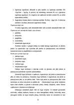 Diplomdarbs 'SIA “Auto AB darbības analīze”', 25.