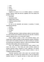 Diplomdarbs 'SIA “Auto AB darbības analīze”', 28.