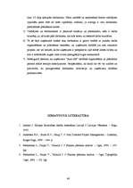 Diplomdarbs 'SIA “Auto AB darbības analīze”', 88.