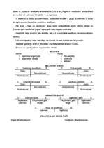 Konspekts 'Grāmatvedības kontu sistēma. Divkāršais ieraksts un kontu korespondence', 5.