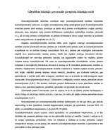 Referāts 'Drošības līdzekļi', 4.