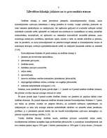 Referāts 'Drošības līdzekļi', 8.