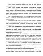 Referāts 'Drošības līdzekļi', 13.