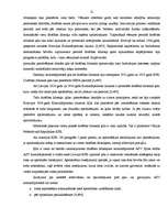 Referāts 'Drošības līdzekļi', 20.