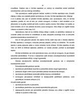 Referāts 'Drošības līdzekļi', 28.