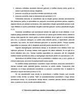 Referāts 'Drošības līdzekļi', 29.