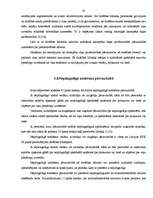 Referāts 'Drošības līdzekļi', 31.