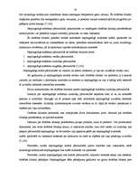 Referāts 'Drošības līdzekļi', 32.