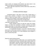 Referāts 'Drošības līdzekļi', 33.