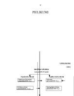 Referāts 'Drošības līdzekļi', 36.