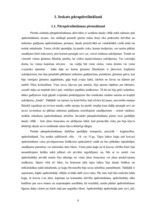 Diplomdarbs 'Pārapdrošināšana Latvijā un Eiropas Savienībā', 8.