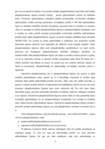 Diplomdarbs 'Pārapdrošināšana Latvijā un Eiropas Savienībā', 17.