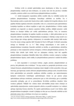 Diplomdarbs 'Pārapdrošināšana Latvijā un Eiropas Savienībā', 39.