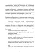 Diplomdarbs 'Pārapdrošināšana Latvijā un Eiropas Savienībā', 41.