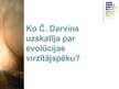 Prezentācija 'Evolūcijas pierādījumi', 4.