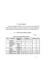 Referāts 'Restorāna "Zvaigžņu lietus" tehnoloģiskais projekts', 28.