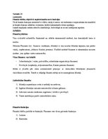 Paraugs 'Finanses un kredīti', 2.