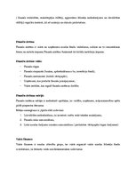 Paraugs 'Finanses un kredīti', 4.