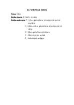 Konspekts 'Kēksi', 2.