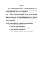 Referāts 'Jogurta ražošana', 4.