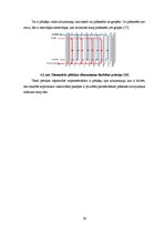 Referāts 'Jogurta ražošana', 29.
