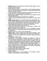 Konspekts 'Frānsiss Bēkons ''Jaunais organons''', 3.