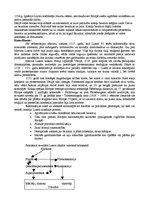 Konspekts 'Reformācija un kontrreformācija Centrālajā Eiropā', 3.