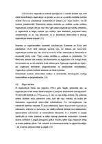 Referāts 'Organizācijas kultūra', 5.