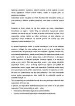 Referāts 'Organizācijas kultūra', 9.