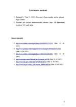 Referāts 'Ēnu ekonomika Latvijā', 6.